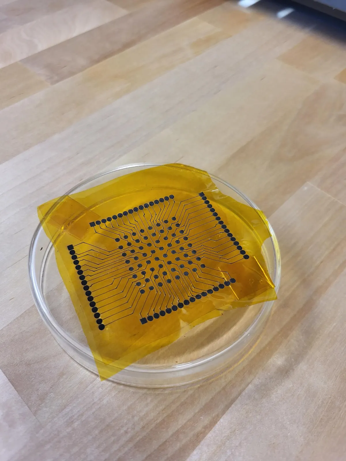 DIY MEA: a low-cost microelectrode array, collaboration with eigenlucy