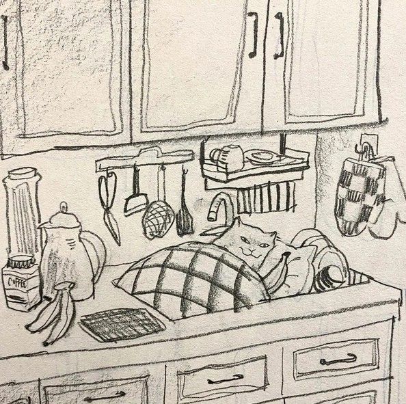 Drawing of a kitchen sink with cabinets and utensils hanging on the wall