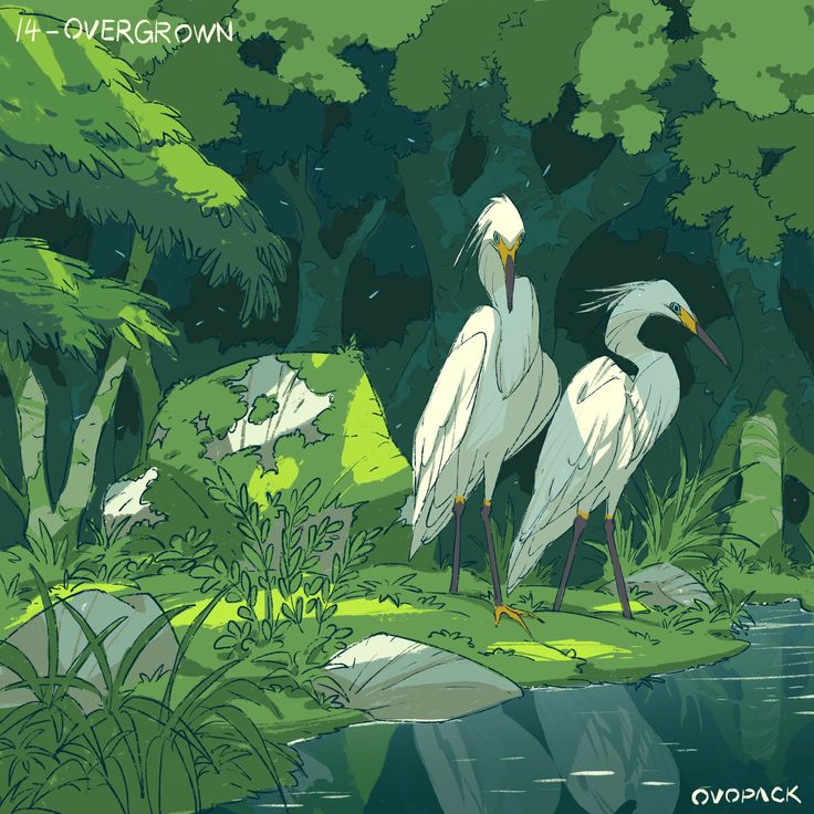Two white birds in the middle of a forest next to a body of water